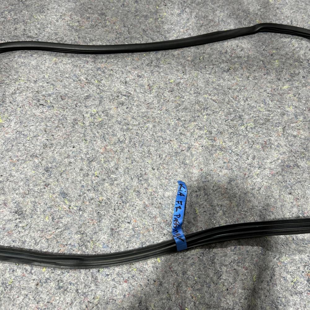 Kia Telluride Front Right Passenger Side Door Weatherstrip Seal OEM 2024 – photo 3