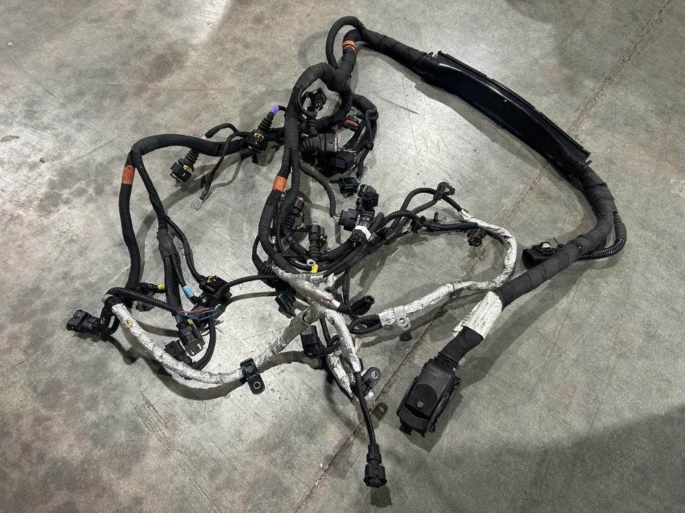 3.0L V6 F160 Engine Injection Wiring Harness 316039 Maserati Ghibli M157 14-17 – photo 1