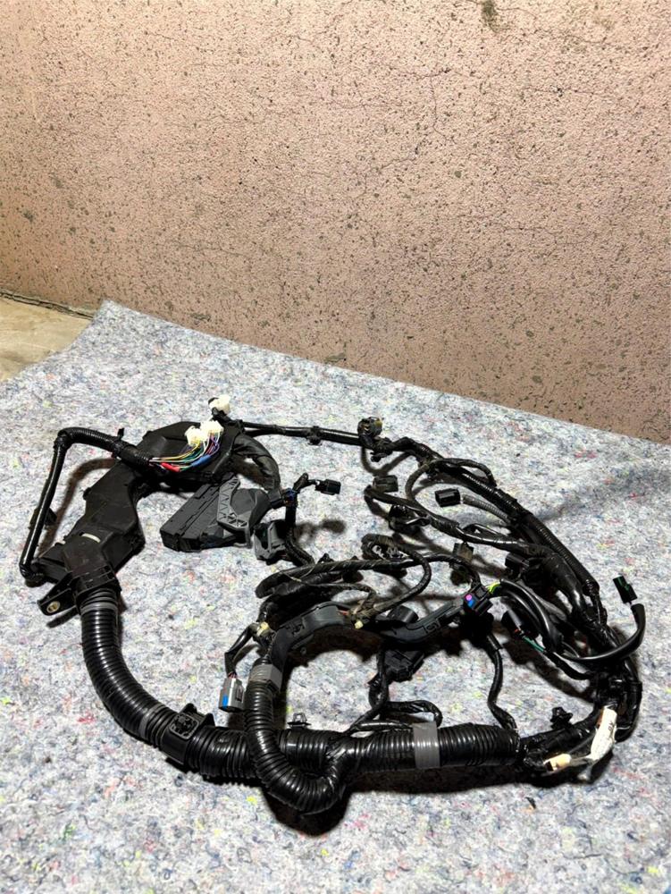 OEM 2017 Toyota Yaris Ia Engine Wiring Harness 0B1P67020A – photo 1