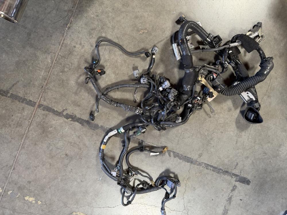 Genuine Infiniti Red Sport Engine Wiringharness 240116HNOB – photo 1