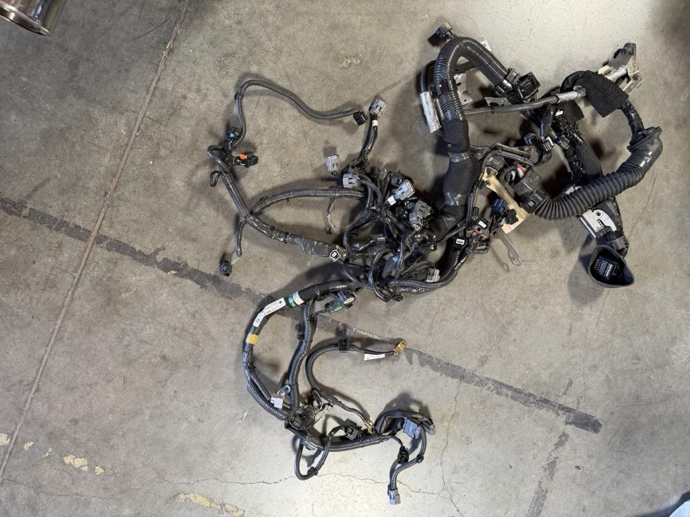 Genuine Infiniti Red Sport Engine Wiringharness 240116HNOB – photo 2