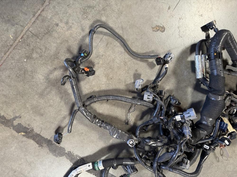 Genuine Infiniti Red Sport Engine Wiringharness 240116HNOB – photo 3