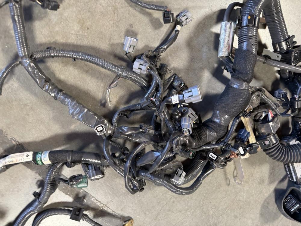 Genuine Infiniti Red Sport Engine Wiringharness 240116HNOB – photo 4