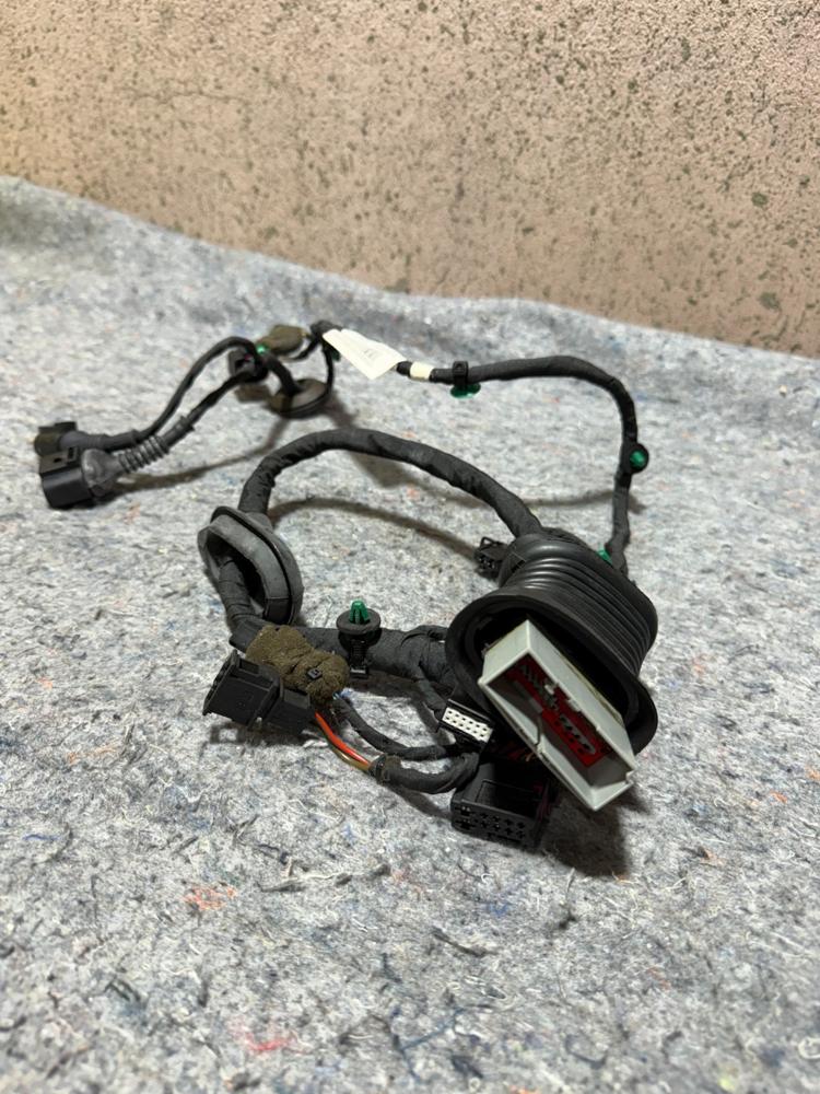 Bentley Continental Flying Spur Front Right Door Right Wire Harness 3W5971121B – photo 4
